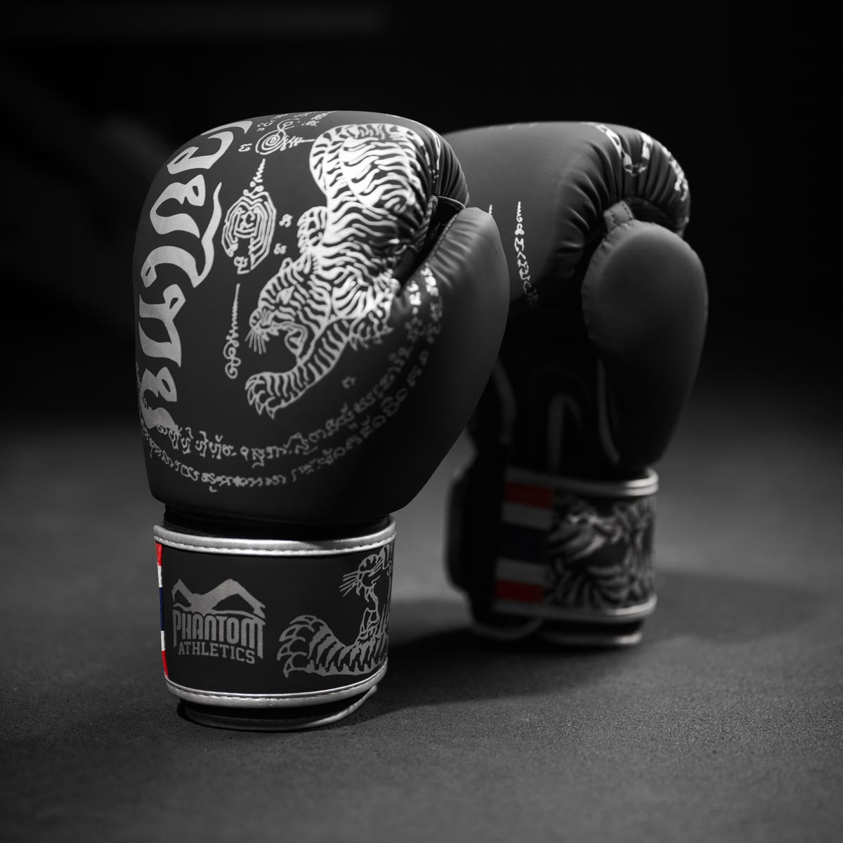 Boxhandschuhe Muay Thai - Limited Silver Edition