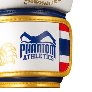 Boxing gloves muay thai | Thai boxing - PHANTOM ATHLETICS