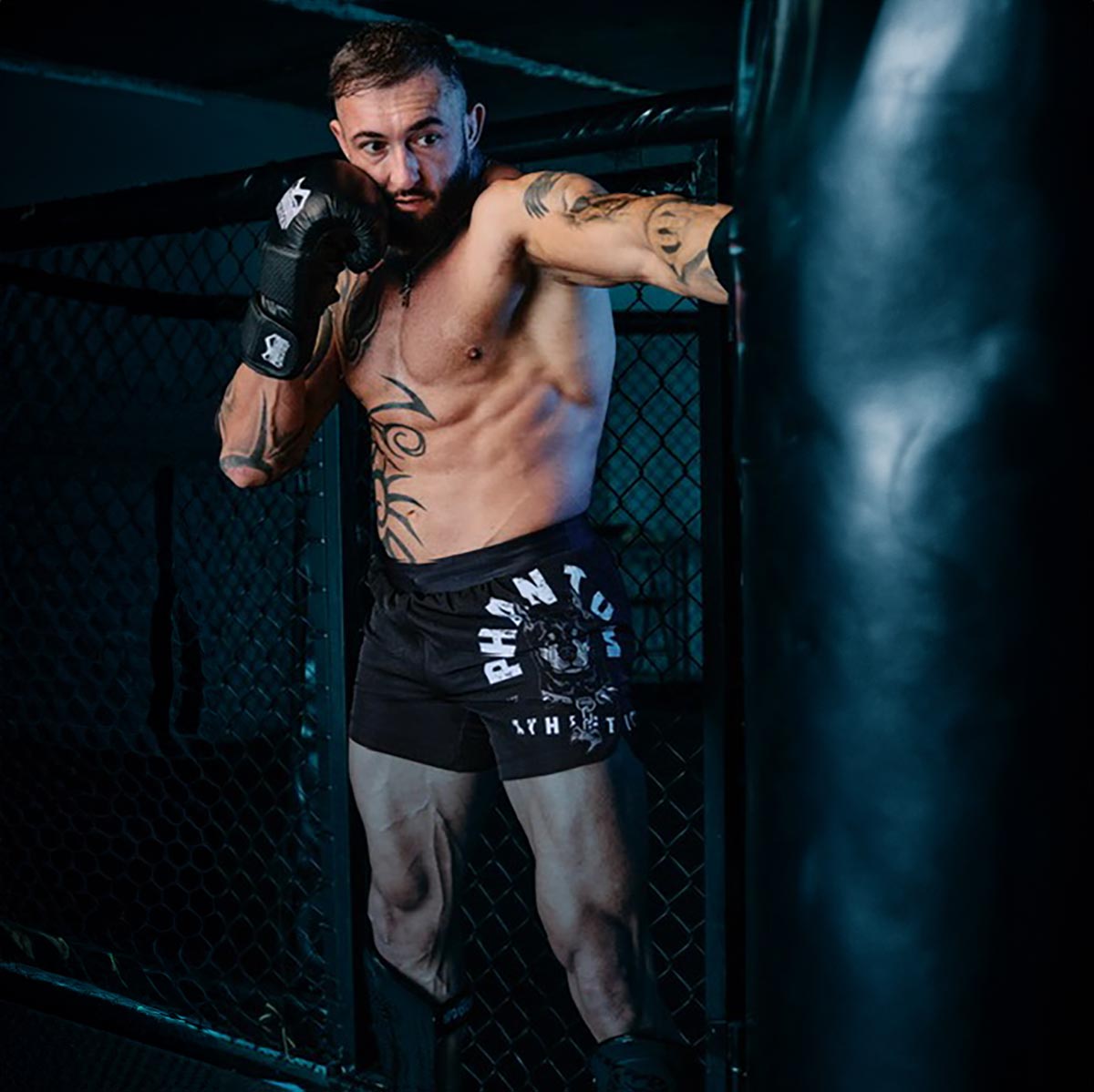 Fusion Doberman Fightshorts von Phantom Athletics, perfekt für MMA und Thaibox-Training. Dynamisches Design und funktionale Eigenschaften für optimale Performance im Kampfsport.