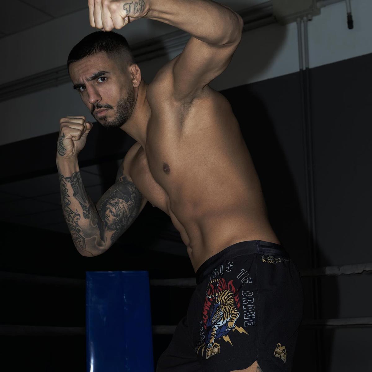 Mit den Phantom Athletics Fusion-R Fightshorts Tiger Domination erhältst du langlebige Shorts, die optimalen Sitz und Flexibilität bei Muay Thai, MMA und Boxtraining bieten.