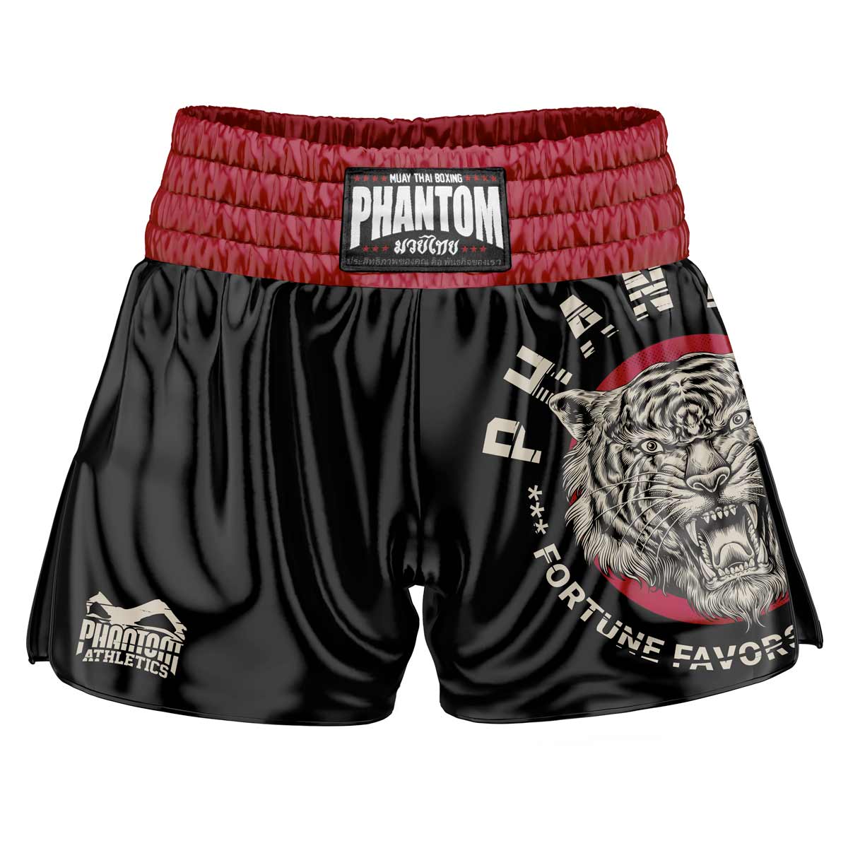 Buy Muay Thai shorts & Thai boxing pants for men online - PHANTOM ATHLETICS
