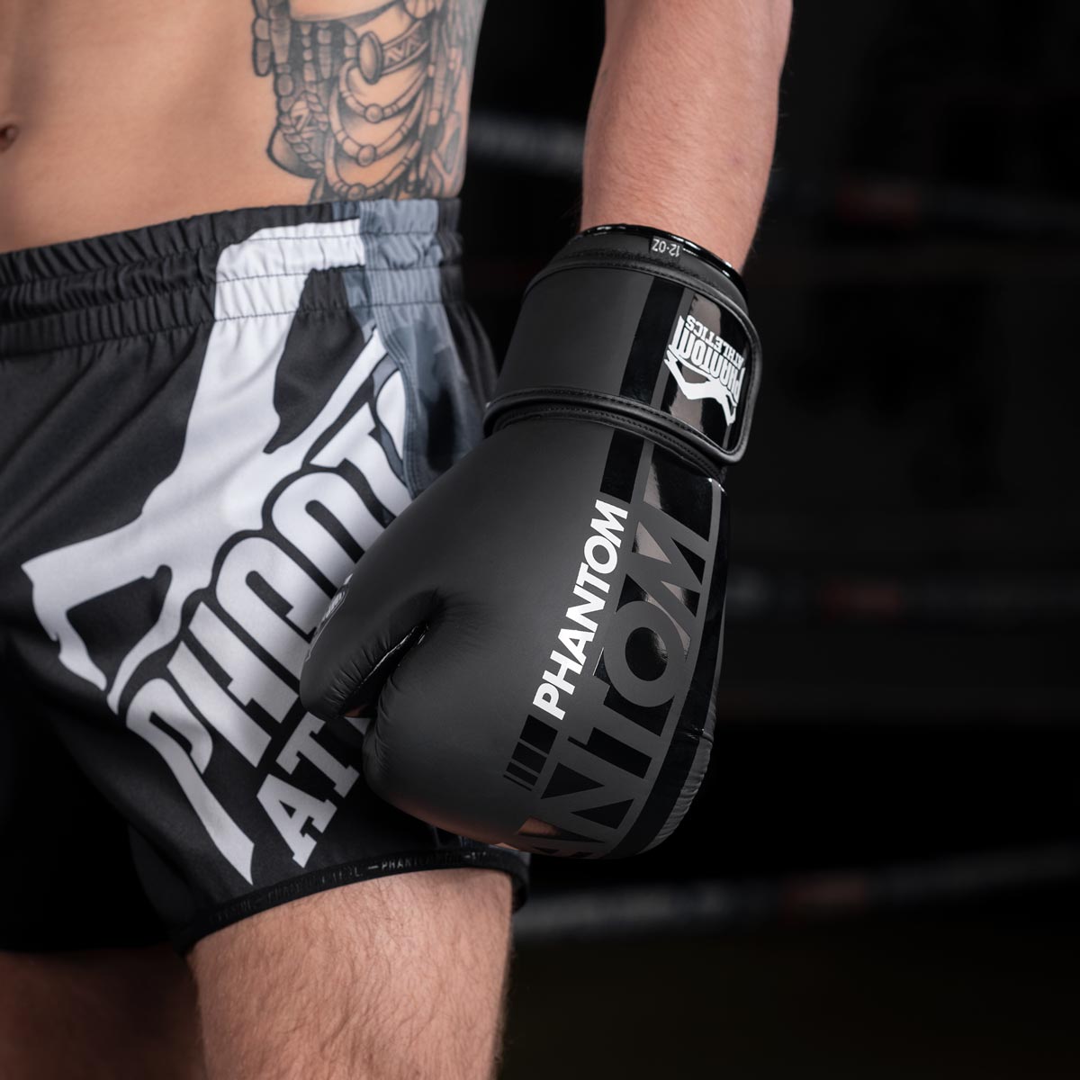 Die Phantom Apex Boxhandschuhe im Kampfsport Training